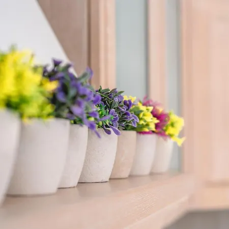 Lunar Prázdninový dům *