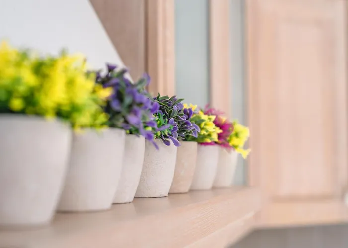 Lunar Holiday home *